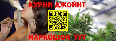 гашик Дубна