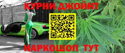 гашик Дубна